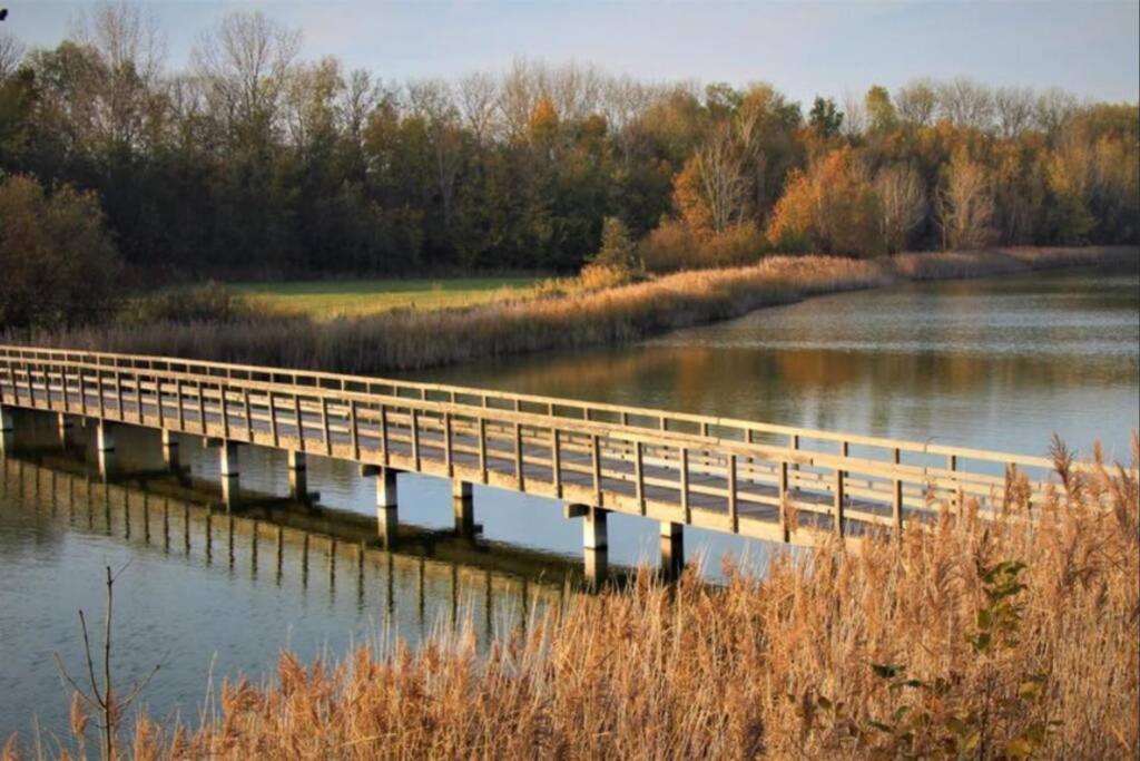 Vogelenzang Zeeland Sint Annaland