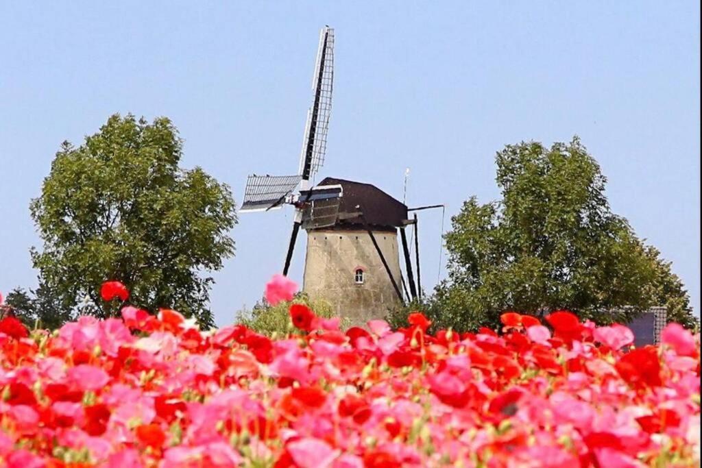Vogelenzang Zeeland Sint Annaland