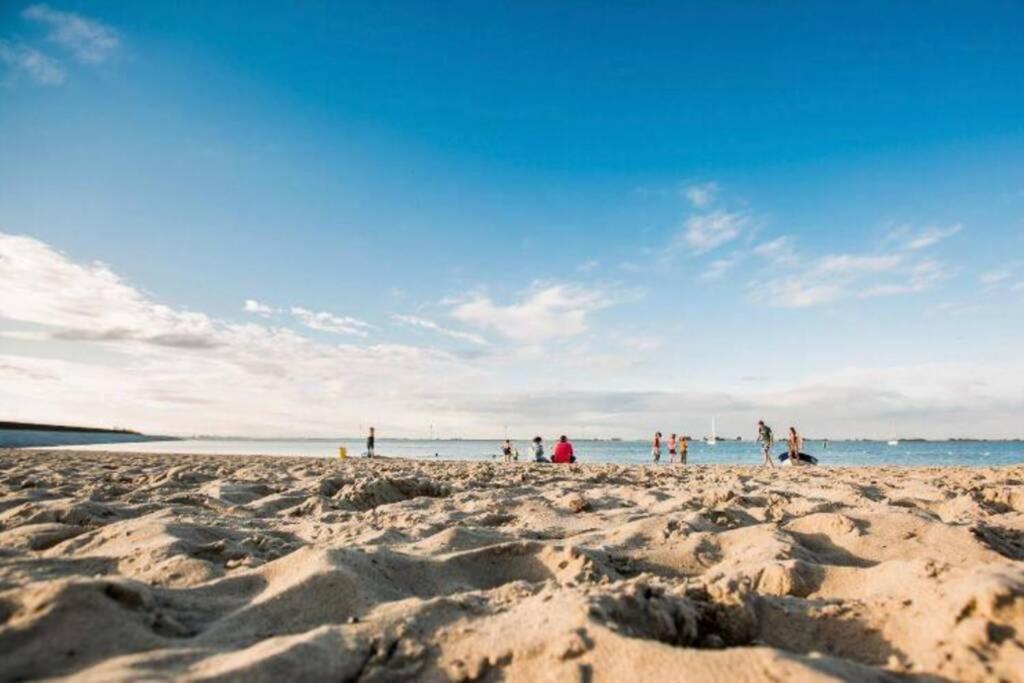 Vogelenzang Zeeland *