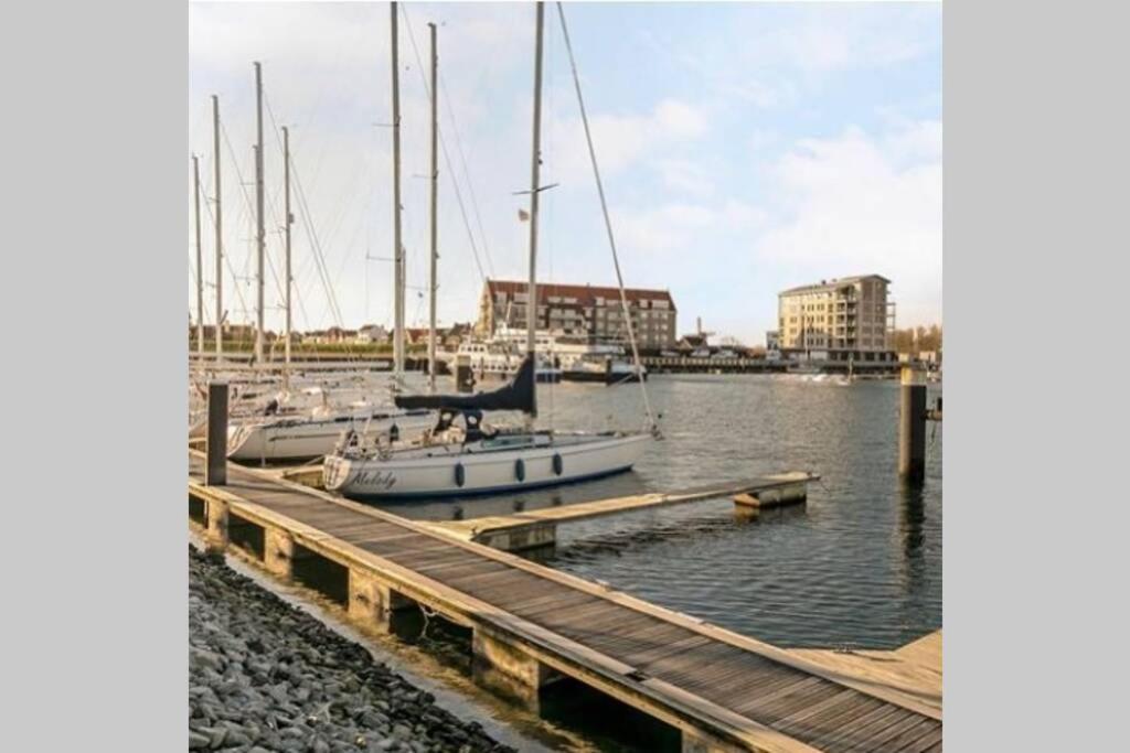 Vogelenzang Zeeland * Sint Annaland