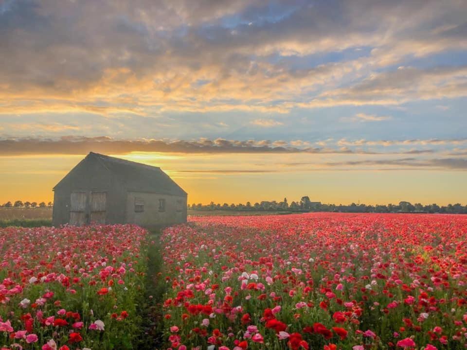 Holiday home Vogelenzang Zeeland