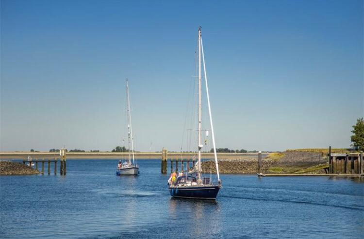 Vogelenzang Zeeland Holiday home *