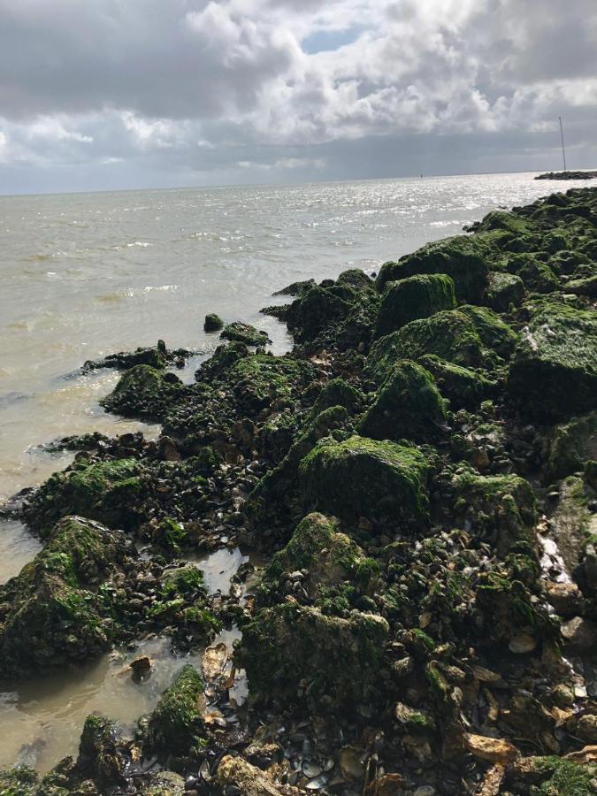 Vogelenzang Zeeland Sint Annaland