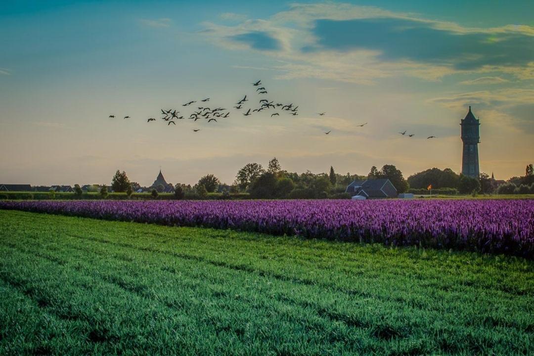 Vogelenzang Zeeland Holiday home